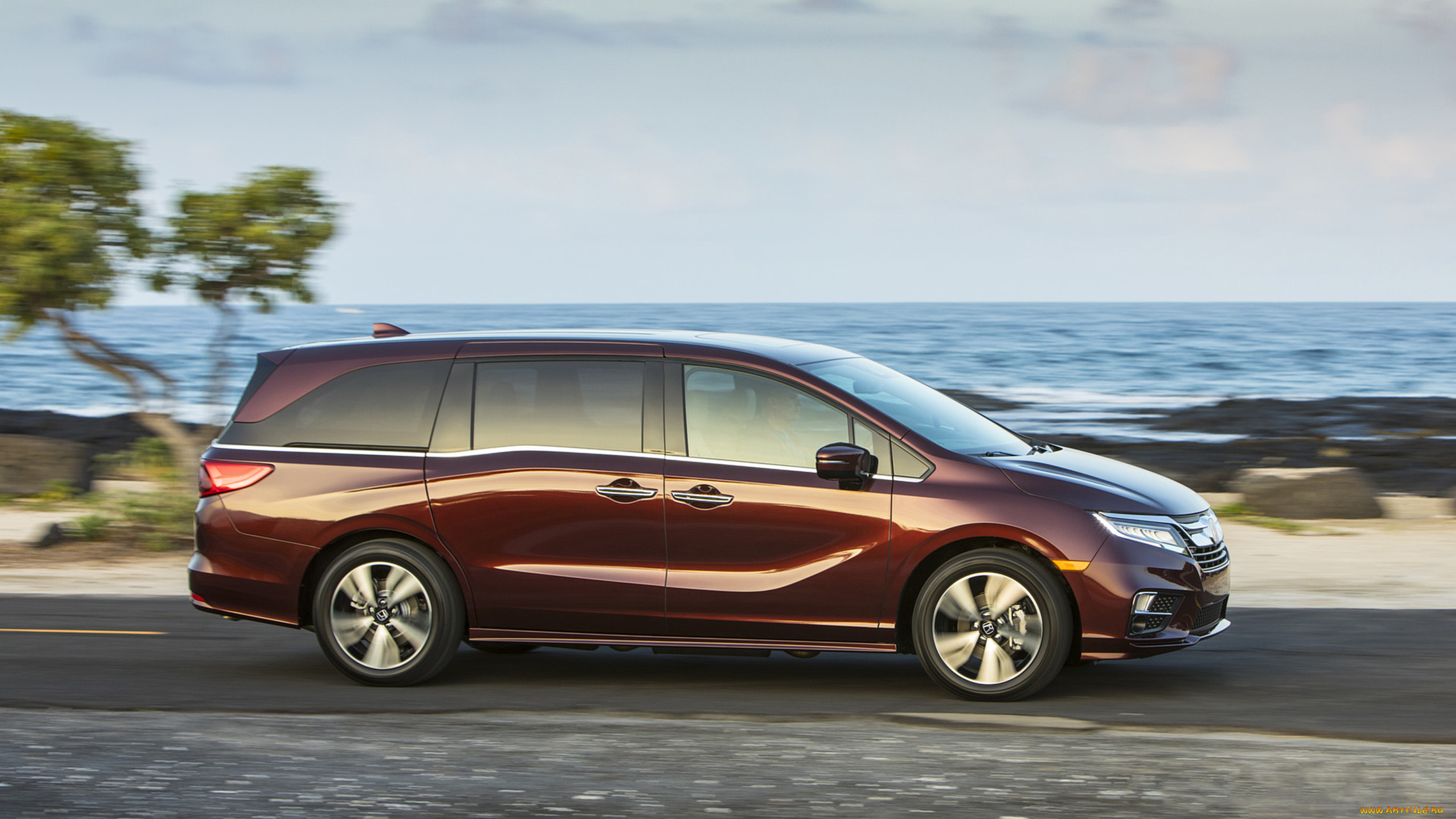 honda odyssey elite 2018, , honda, elite, odyssey, 2018